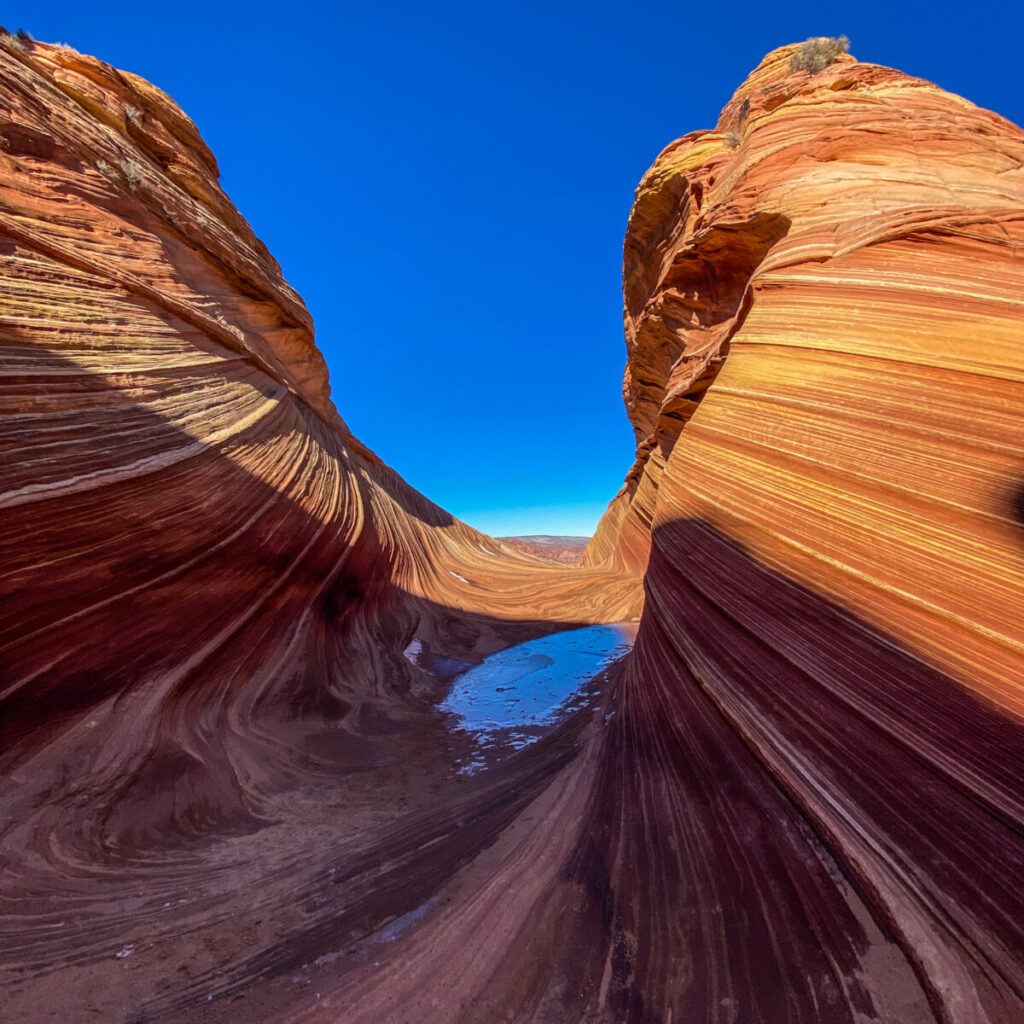 Coyote Buttes North The Wave 22