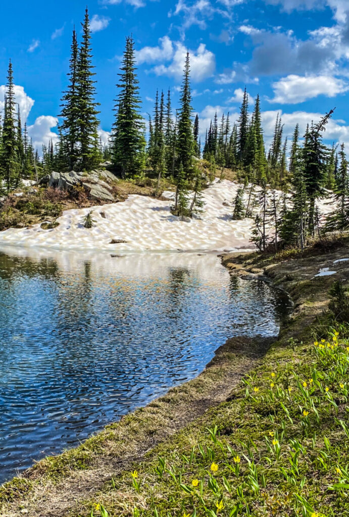 Dieses Bild zeigt den Heather Lake im Mount Revelstoke National Park in British Columbia