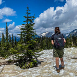 Das Bild zeigt Caro in der Summit Area im Mount Revelstoke National Park in British Columbia