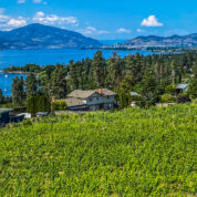 Das Bild zeigt das Oktanagan Valley südlich von Kelowna in British Columbia