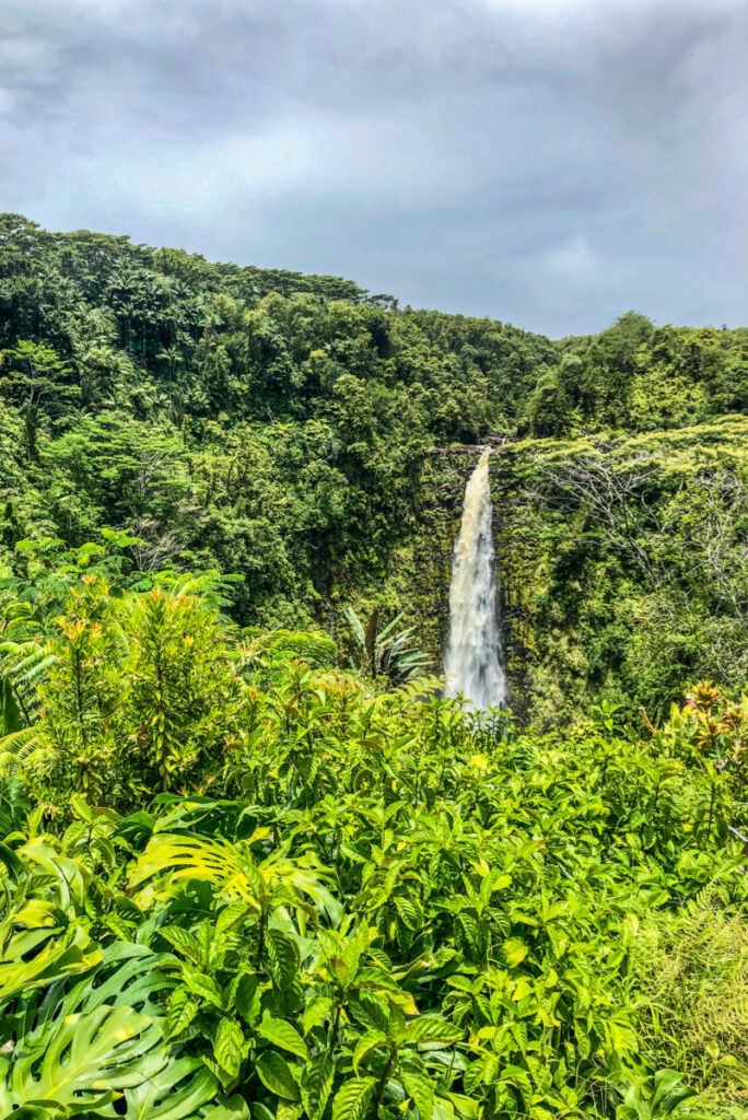 Akaka Falls 3