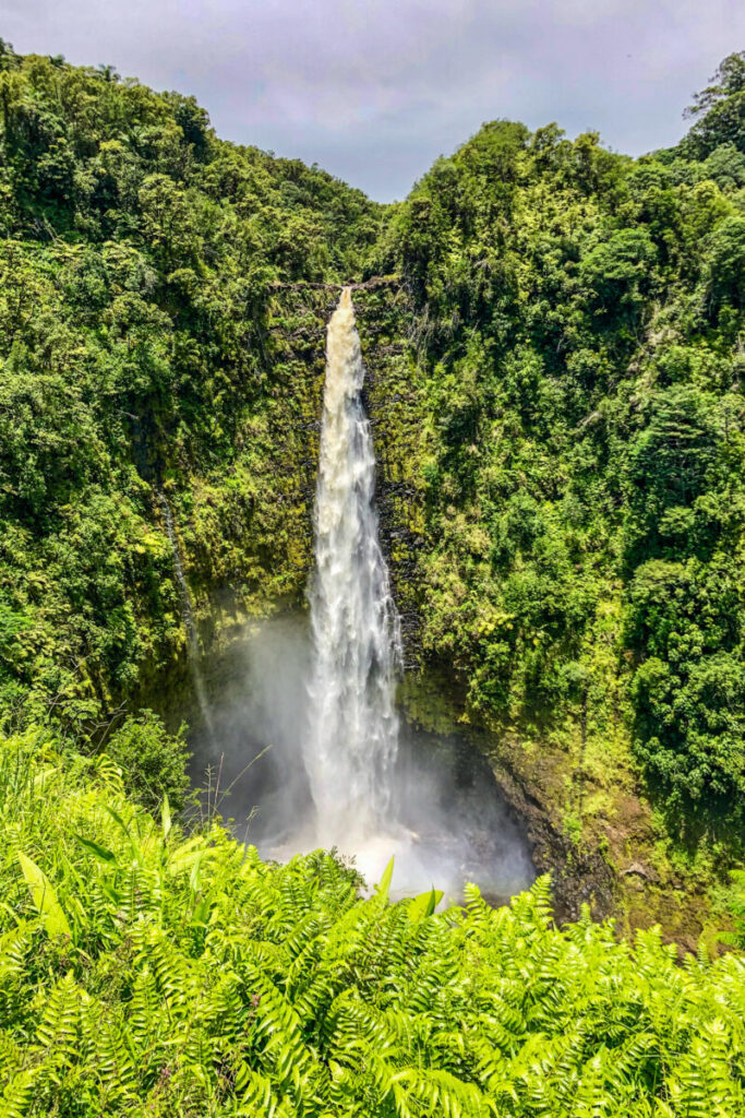Akaka Falls 4