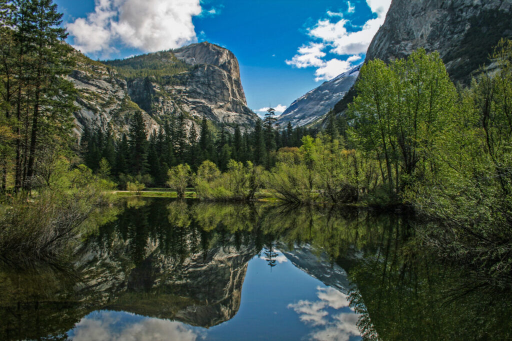 Yosemite National Park 3