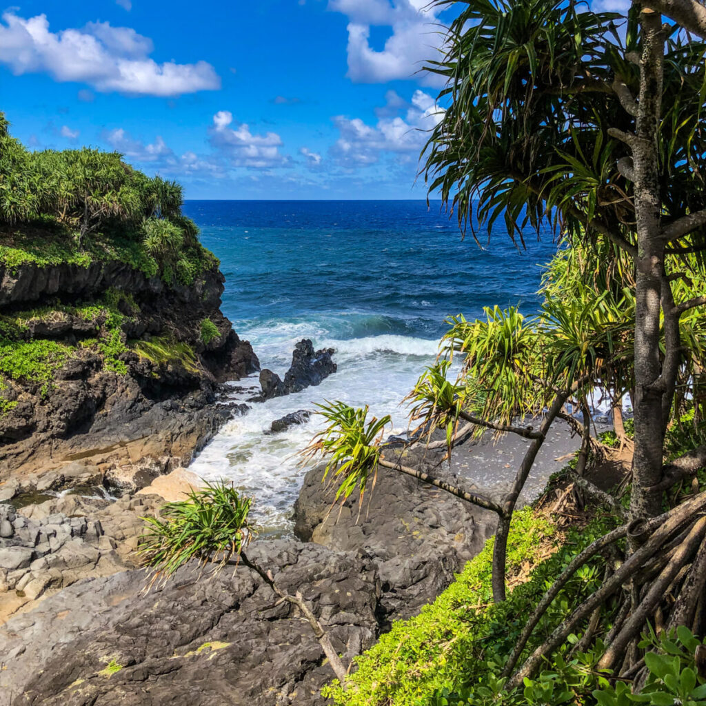 Dieses Bild zeigt die 'Ohe'o Gulch mit den Seven Sacred Pools in Kipahulu auf Maui, Hawaii