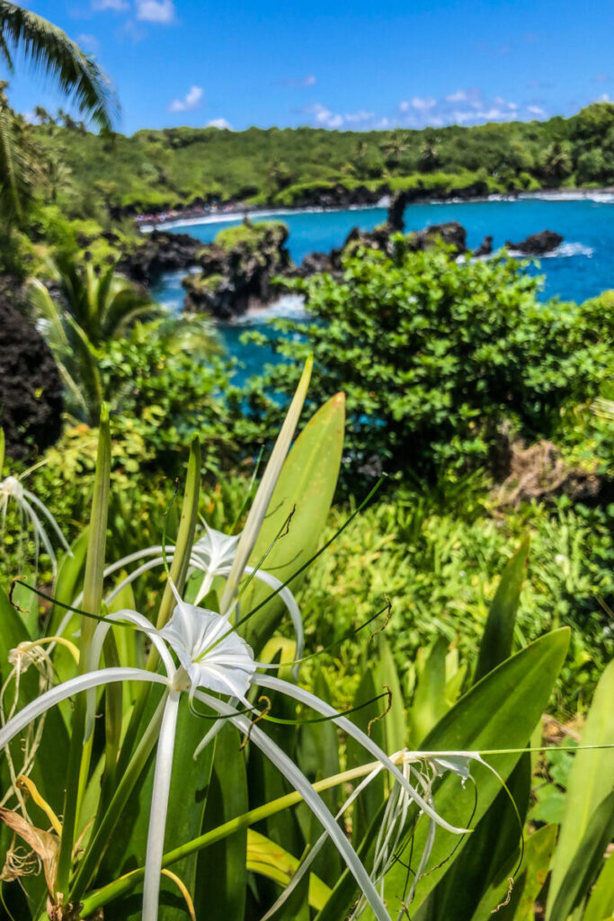 Dieses Bild zeigt die keawaiki und Pi'aloa Bay im Wai'anapanapa State Park an der Road to Hana auf Maui, Hawaii