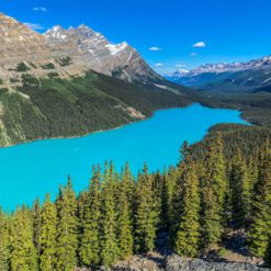 Dieses Bild zeigt den Peyto Lake im Banff National Park, Alberta