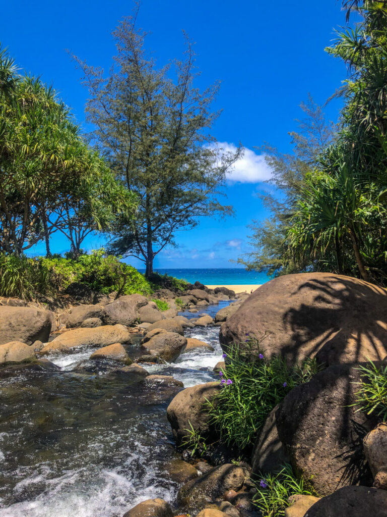 Das Bild zeigt den Kalalau Trail auf Kauai, Hawaii