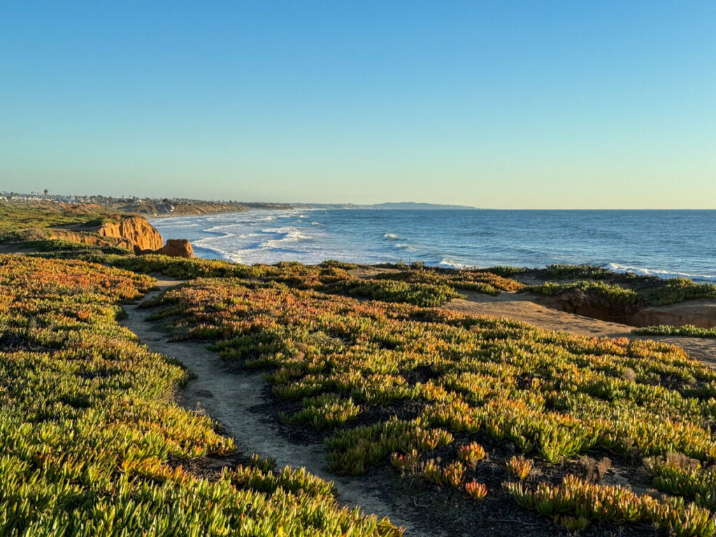 Dieses Bild zeigt den Terramar Beach in Carlsbad, Kalifornien