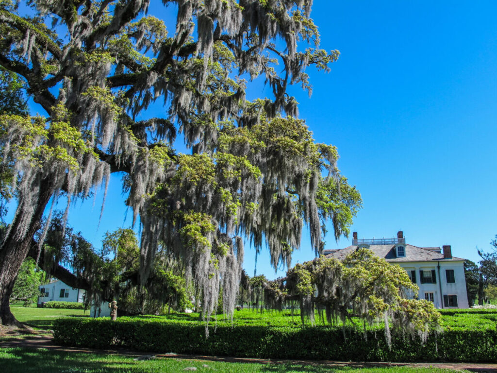 Dieses Bild zeigt die Evergreen Plantation Louisiana aus Django Unchained