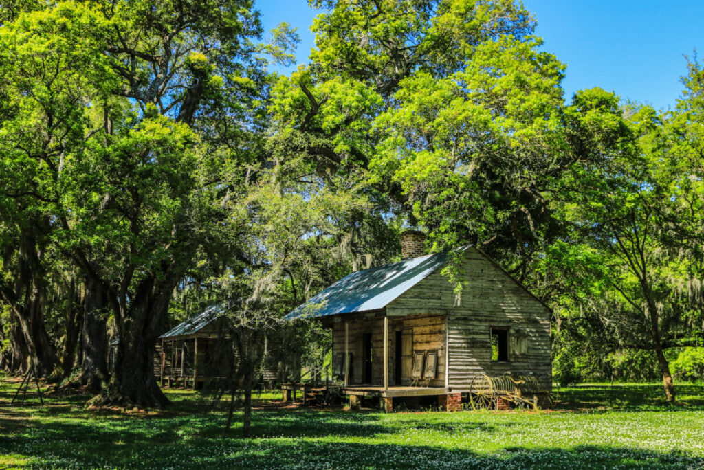 Dieses Bild zeigt die ehemaligen Sklavenhütten an der Eichenallee auf der Evergreen Plantation Louisiana