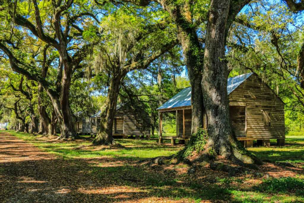 Dieses Bild zeigt die ehemaligen Sklavenhütten an der Eichenallee auf der Evergreen Plantation Louisiana