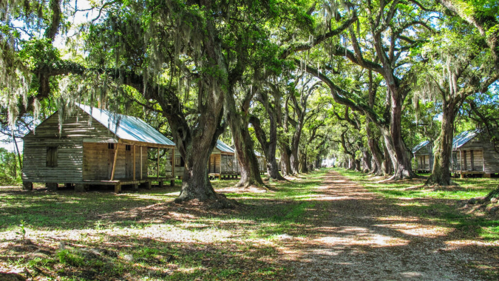 Dieses Bild zeigt die ehemaligen Sklavenhütten an der Eichenallee auf der Evergreen Plantation Louisiana