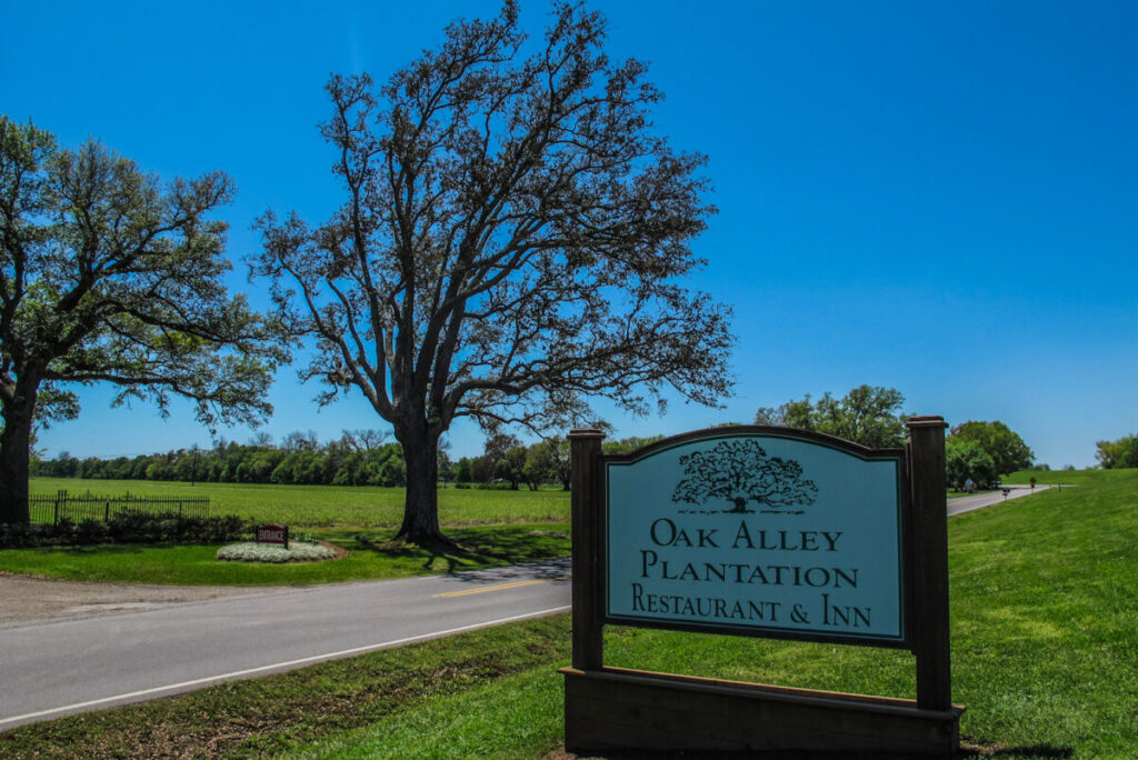 Dieses Bild zeigt den Eingang zur Oak Alley Plantation Louisiana