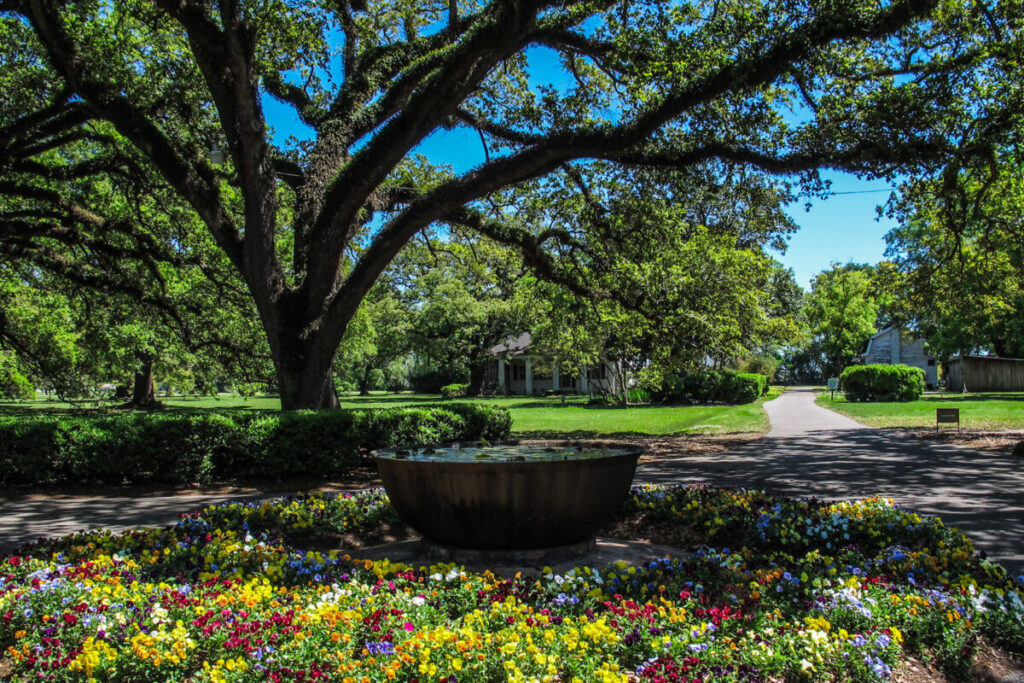 Dieses Bild zeigt das Außengelände der Oak Alley Plantation Louisiana