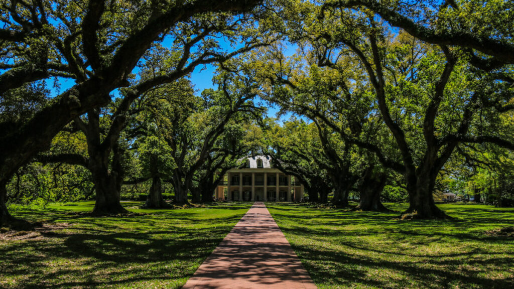 Dieses Bild zeigt die Eichenallee und das Big House der Oak Alley Plantation Louisiana