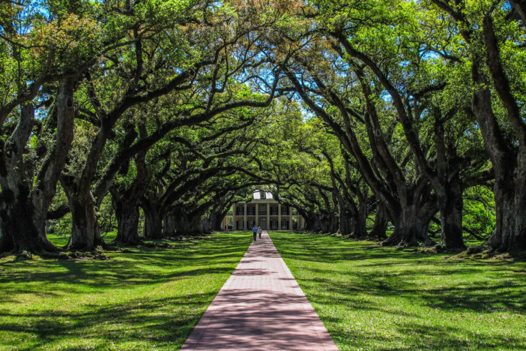 Dieses Bild zeigt die Eichenallee und das Big House der Oak Alley Plantation Louisiana