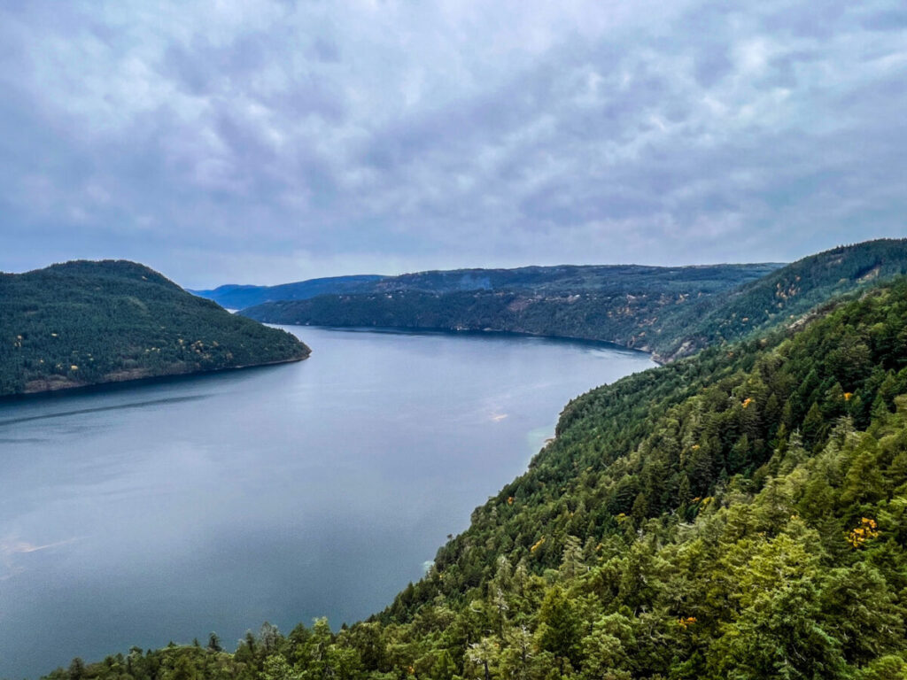 Dieses Bild zeigt die Aussicht vom Spiral Tower des Malahat Skywalk auf Vancouver Island