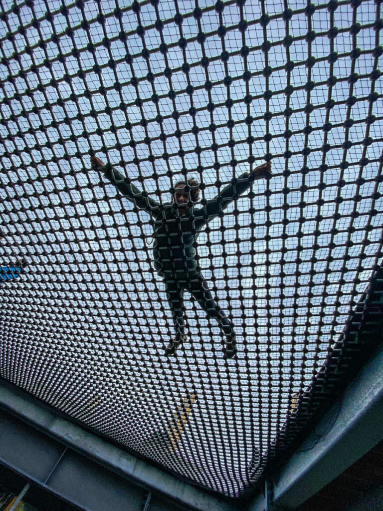 Dieses Bild zeigt den Spiral Tower des Malahat Skywalk auf Vancouver Island