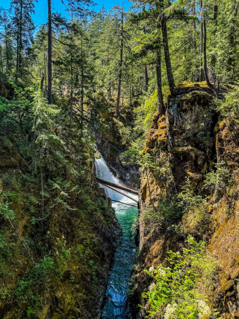 Little Qualicum Falls Park 3