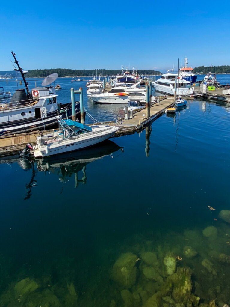 Dieses Bild zeigt den Hafen von Nanaimo auf Vancouver Island