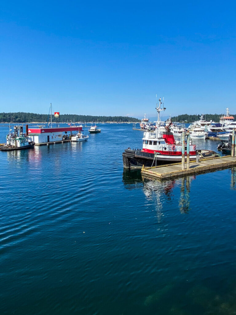 Dieses Bild zeigt den Hafen von Nanaimo auf Vancouver Island