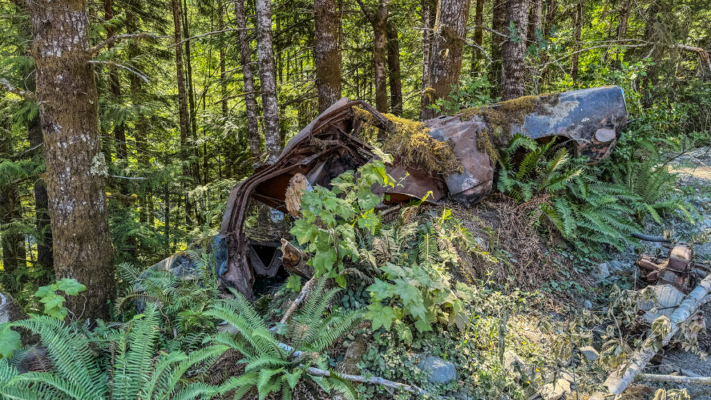 Dieses Bild zeigt Landschaft entlang der Strecke von Woos nach Gold River auf Vancouver Island Kanada