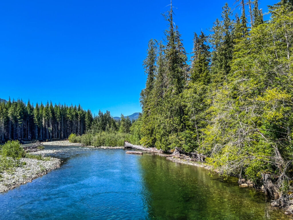 Dieses Bild zeigt einen fluss auf dem Weg von Woos nach Gold River auf Vancouver Island Kanada