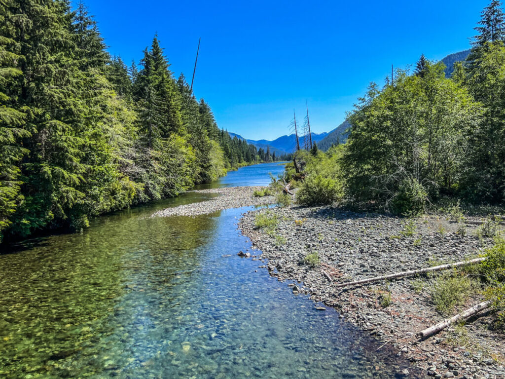 Dieses Bild zeigt einen fluss auf dem Weg von Woos nach Gold River auf Vancouver Island Kanada