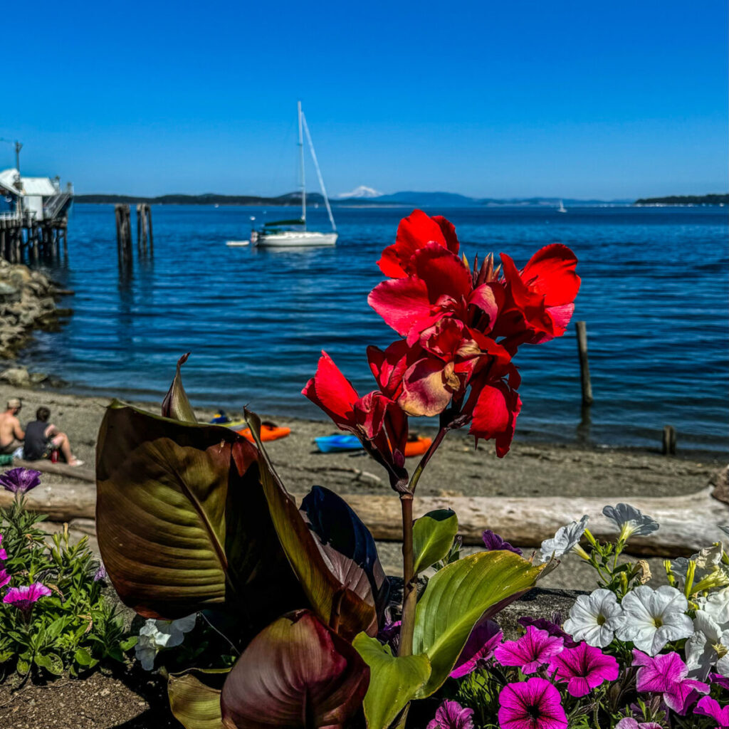 Dieses Bild zeigt den Hafen von Sidney in der Nähe von Victoria auf Vancouver Island