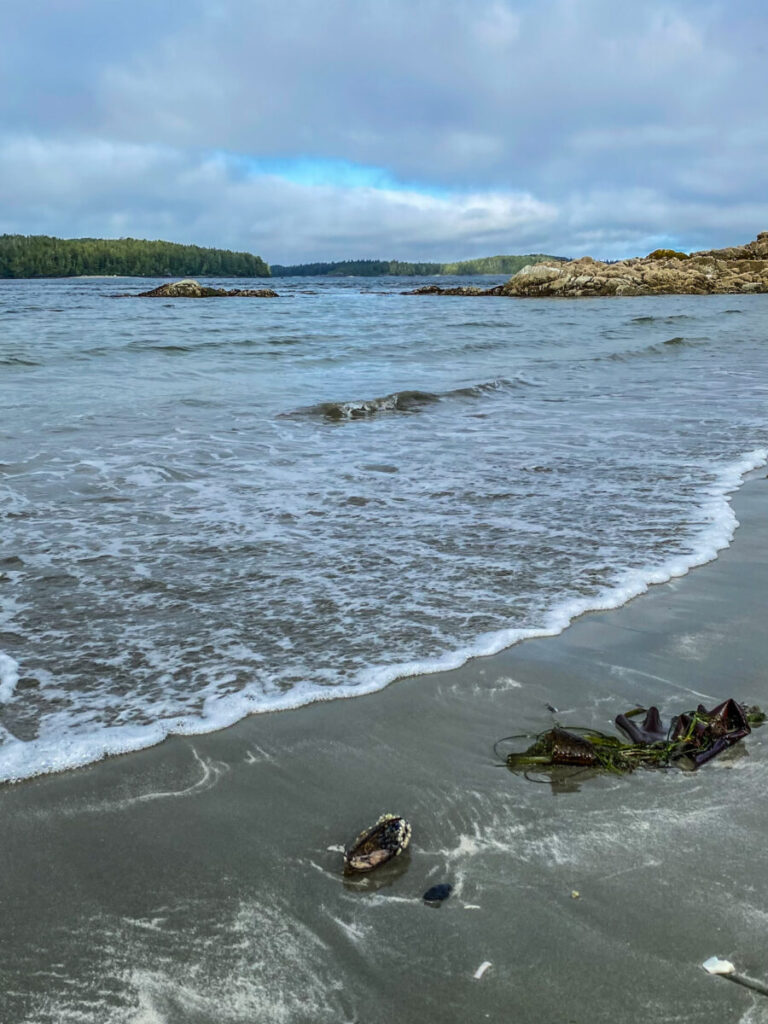 Dieses Bild zeigt den Tonquin Beach in Tofino auf Vancouver Island