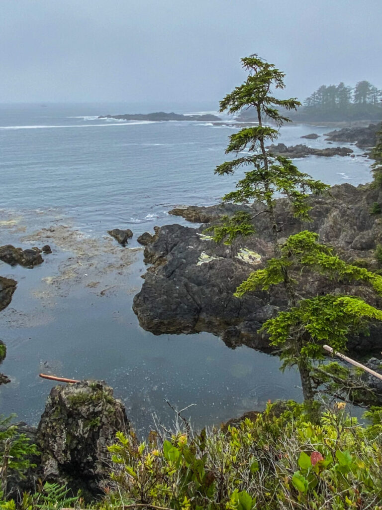 Ucluelet Wild Pacific Trail 6