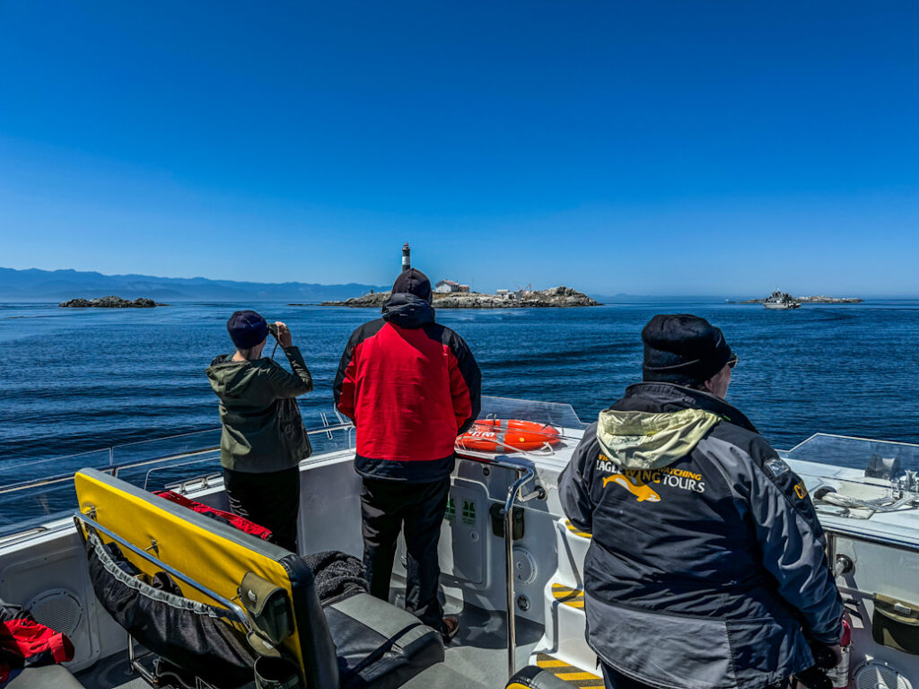 Dieses Bild zeigt eine Whalewatching Tour von Eagle Wing Tours auf dem offenen Meer vor Victoria, VAncouver Island